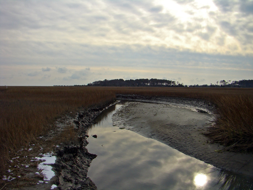 Salt marsh a photo on Flickriver