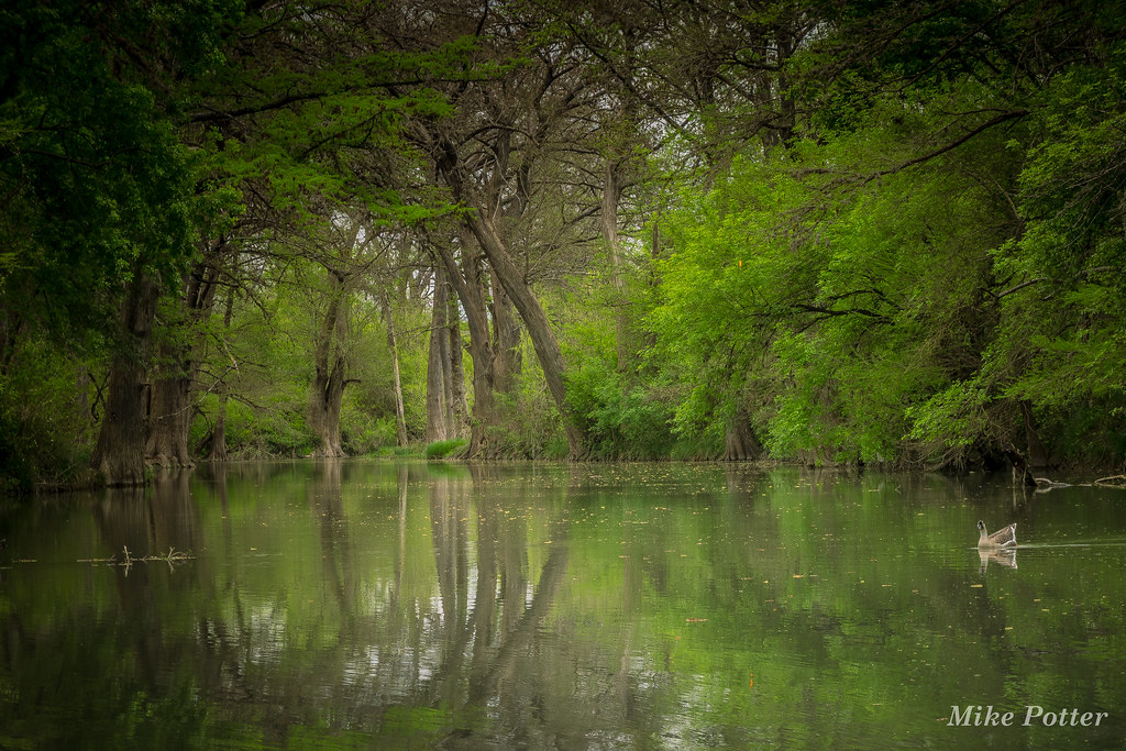 Medina River Reflections Castroville, Texas mike.potter Flickr