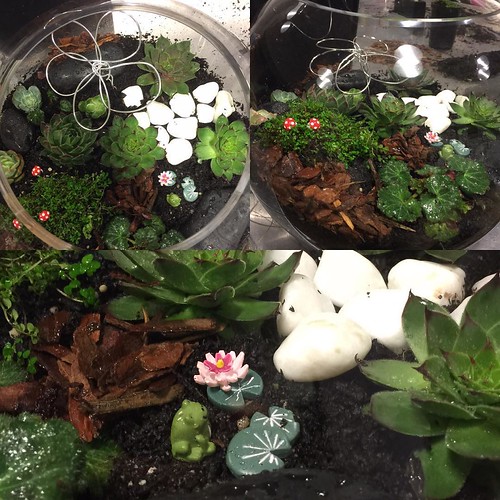 Cute😃 ⬅️order now Share,Like… Flickr