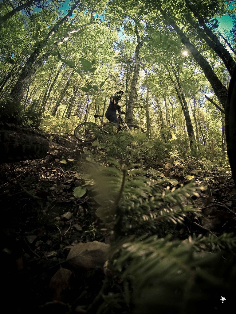 Keppoch Mountain, Antigonish Nova Scotia DCIM\101GOPRO Tim Foster