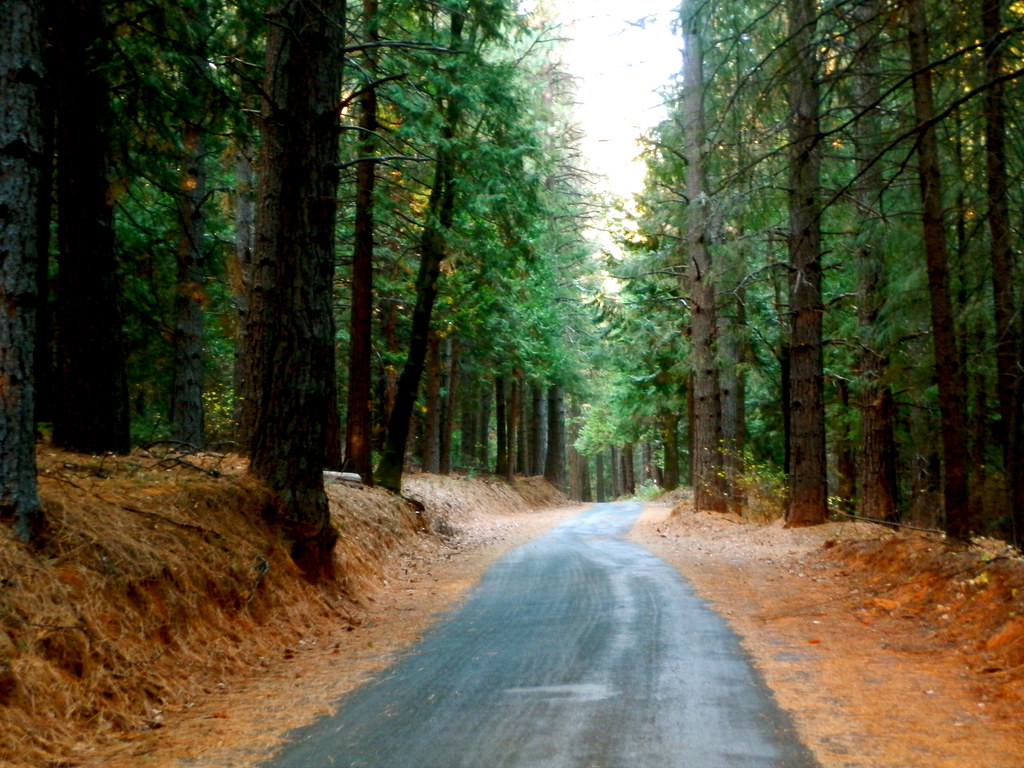 Iowa Hill Road, Calif. It's truly out in the in middle of … Flickr