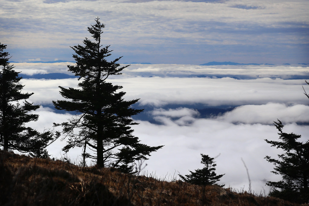 Elevation of Roanwood Rd, Roan Mountain, TN, USA Topographic Map
