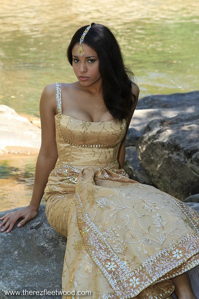 gold Indian inspired wedding dress Flickr