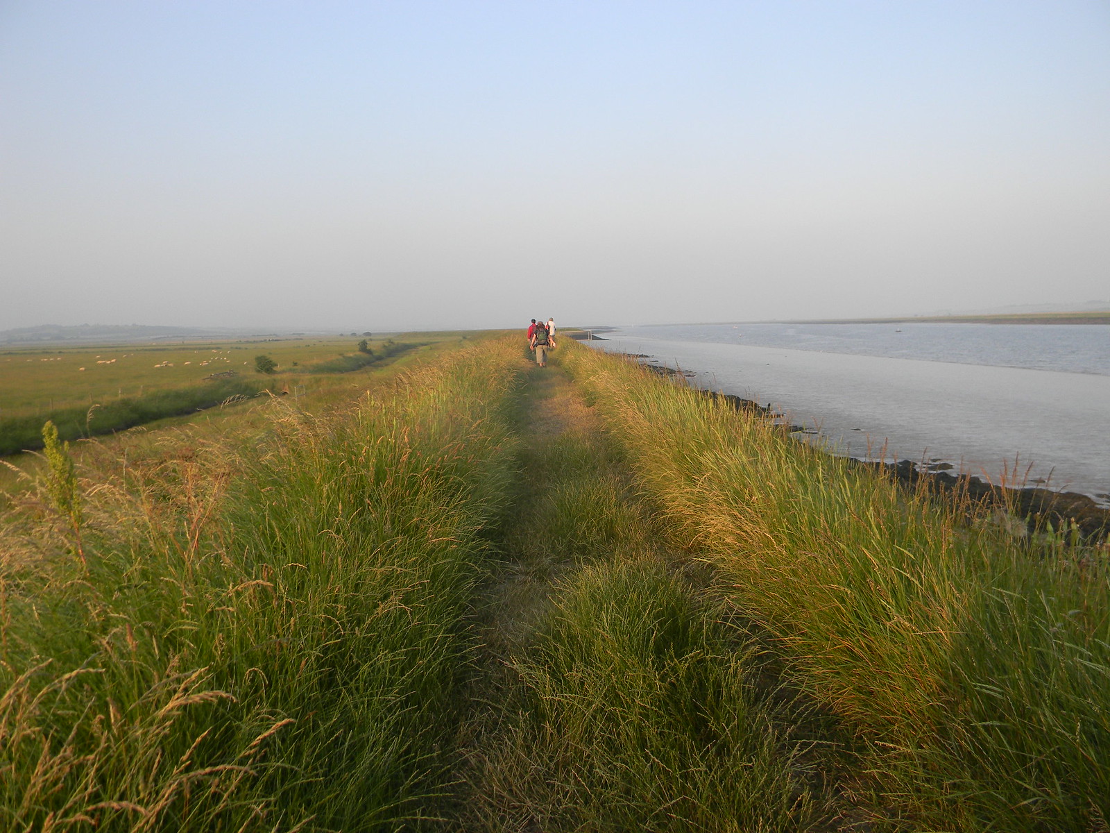 Photos South Woodham Ferrers to North Fambridge Walk SWC