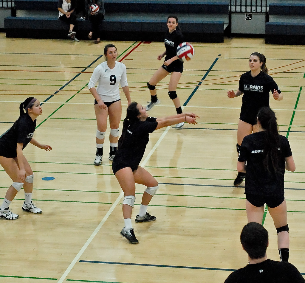 Nicole Nootbaar 3 UC Davis Women's D1 Volleyball Flickr