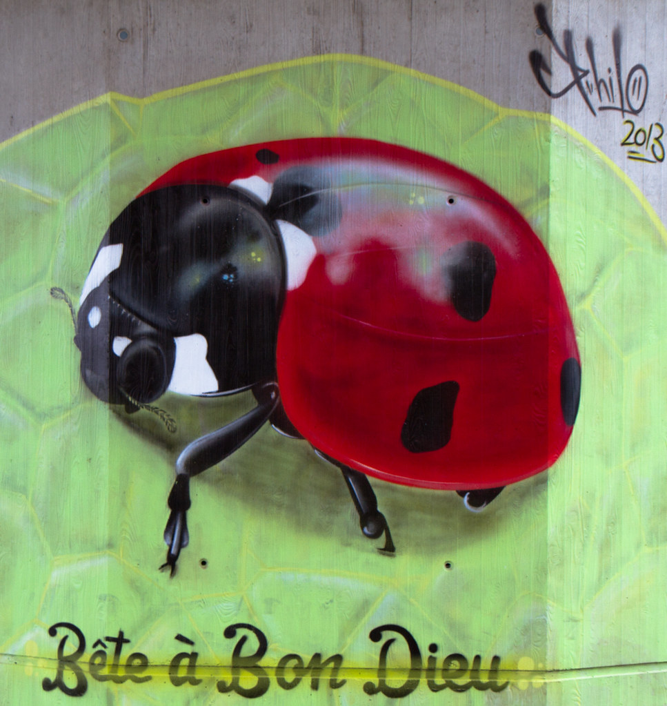 Tag 2 Bête à Bon Dieu Philo 2013 ClearFrost Flickr