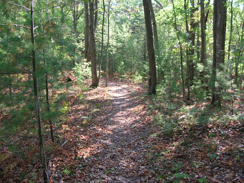 Old Indian Trail Old Indian Trail Sleeping Bear Dunes National