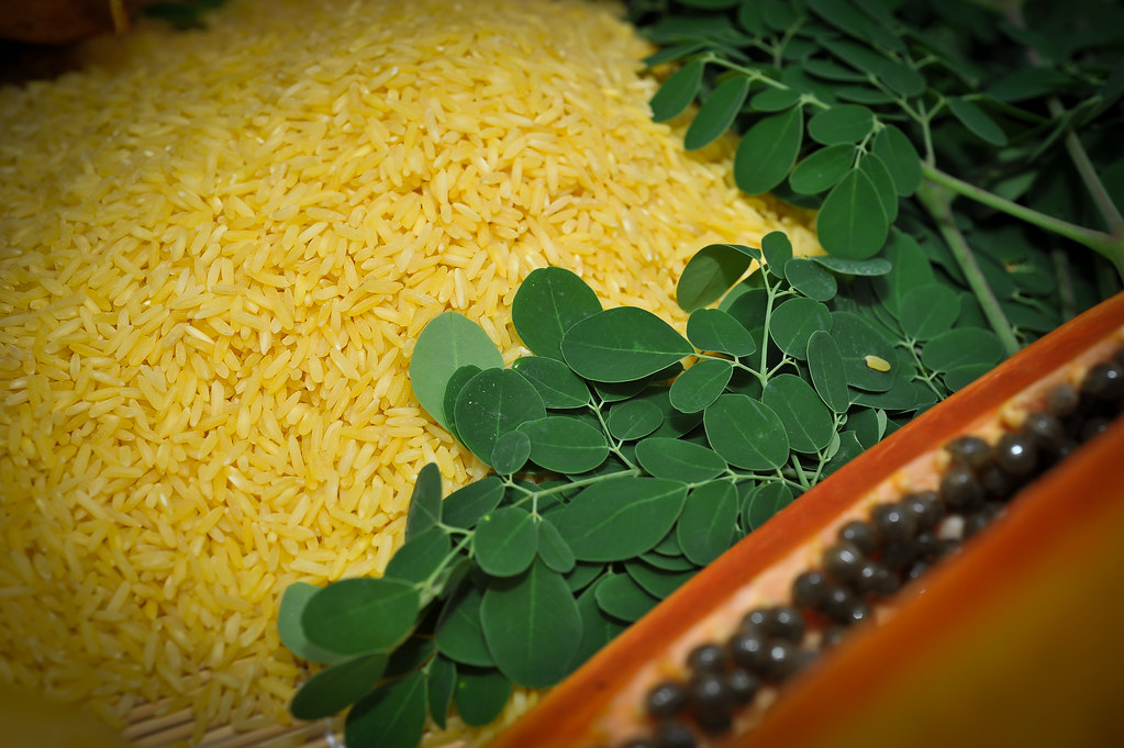 Golden Rice grain with beta carotenerich foods GN7_08892… Flickr