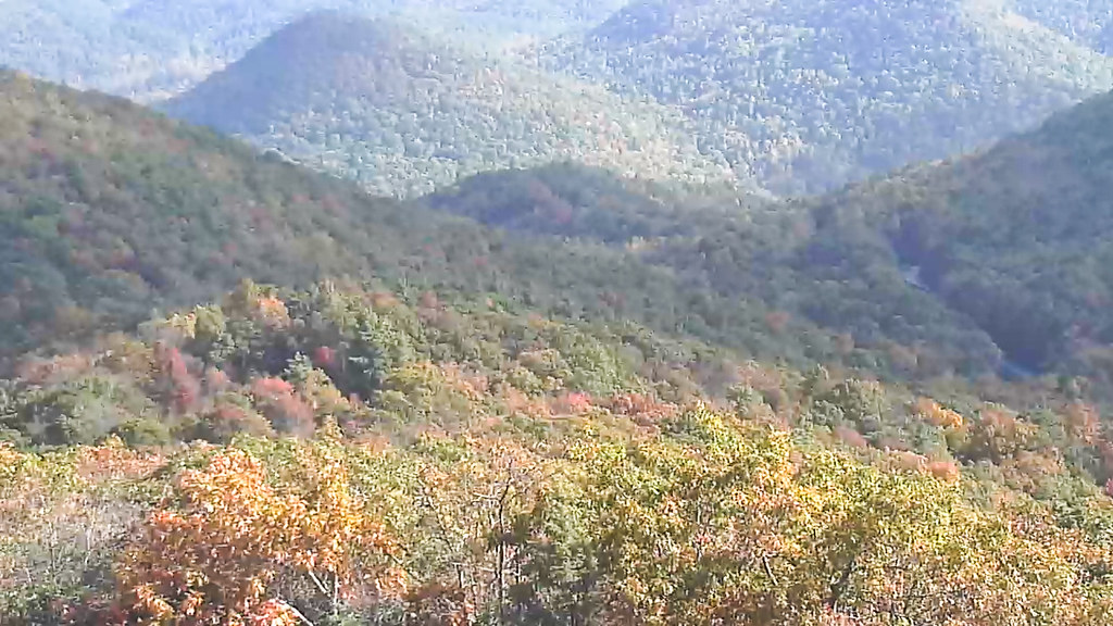 South Brasstown Bald Cam Screen Capture5 October 22, 2… Flickr