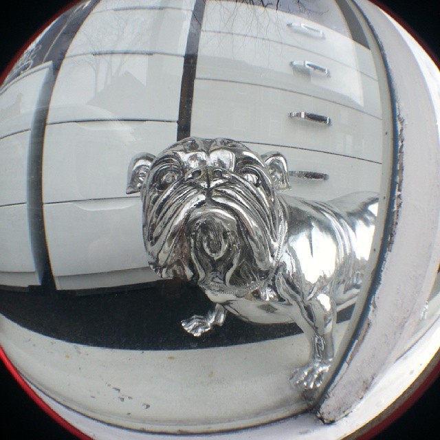 This dog didn't jump up on me. Furniture shop window, Broa… Flickr