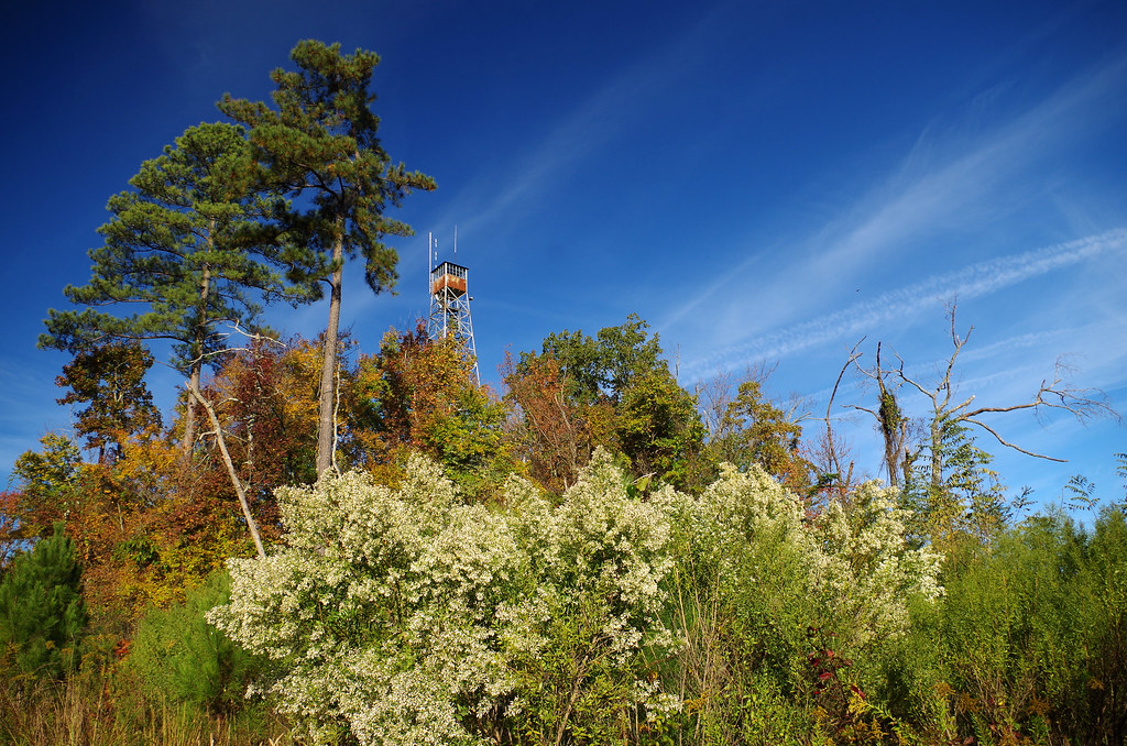 Okolona fire tower near Okolona, Arkansas Keith Sutton Flickr