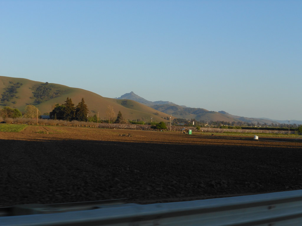 Orchards Near Hollister, California Hollister is a city in… Flickr