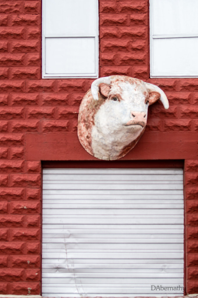 random cow over garage Darla Abernathy Flickr