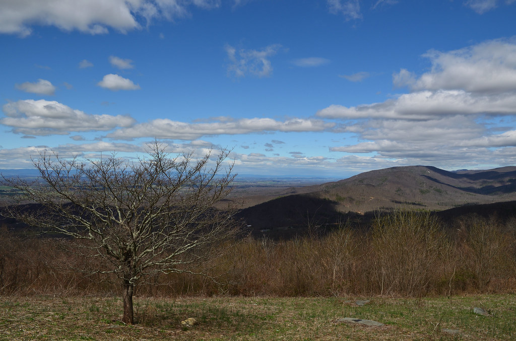 Shenandoah park worth to visit 10outof10 Flickr