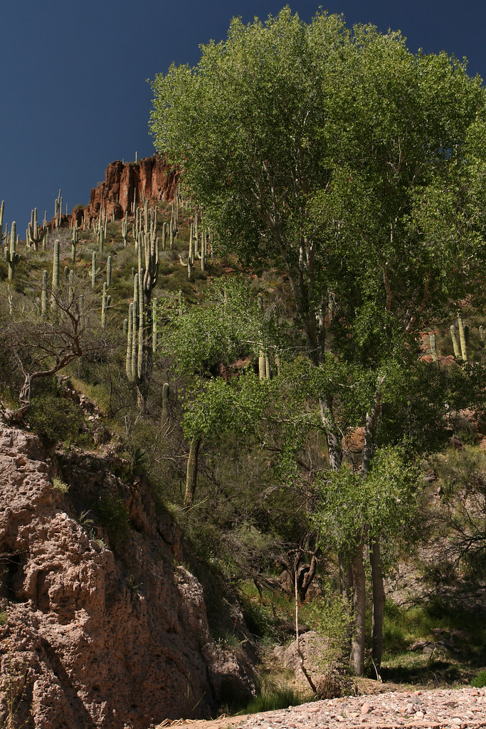 Aravaipa Canyon Wilderness The 19,410acre Aravaipa Canyon… Flickr