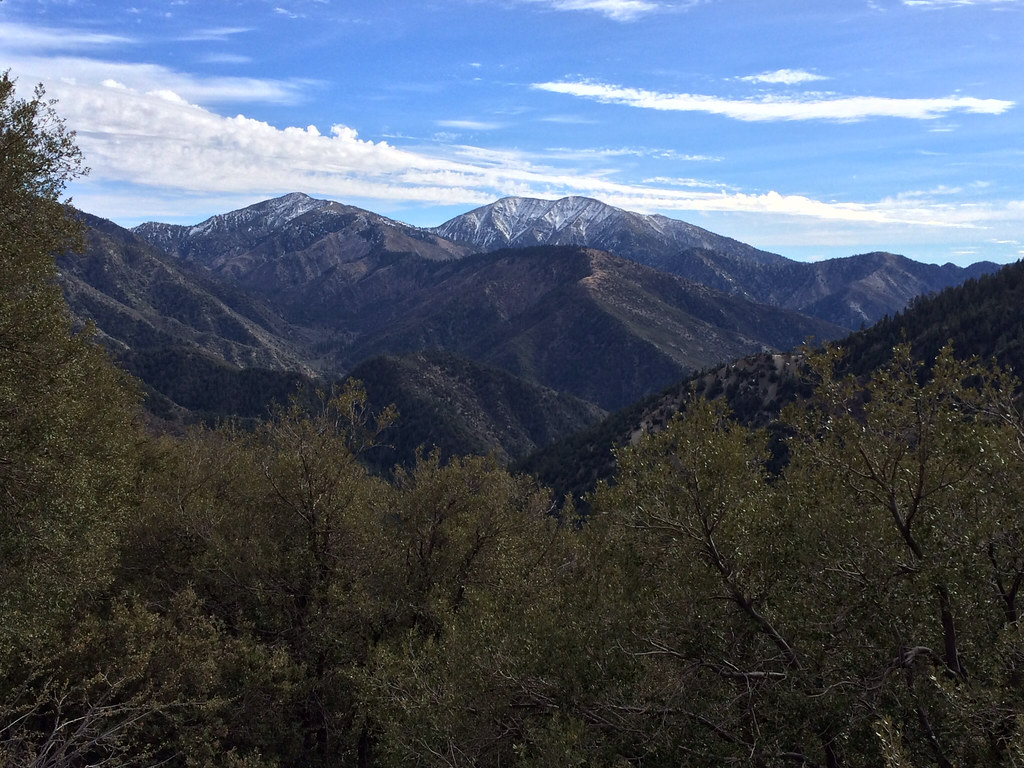 Mt Baldy from the north. Thomas Hart Flickr