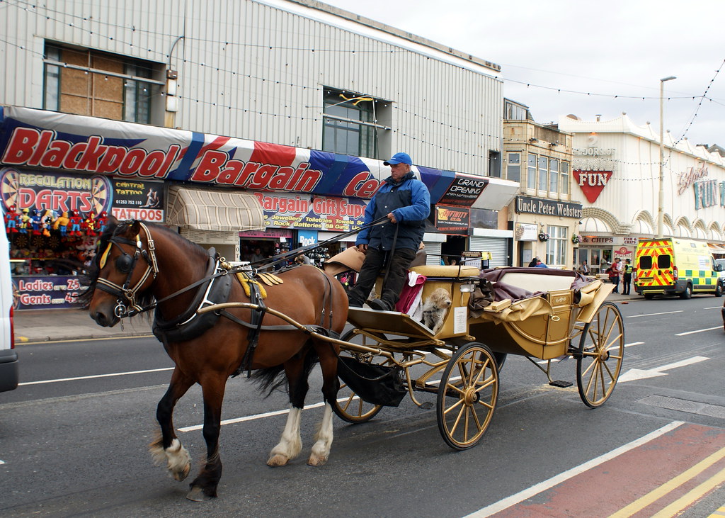 Horse, Dog and Carriage at Blackpool Chris Bell Flickr
