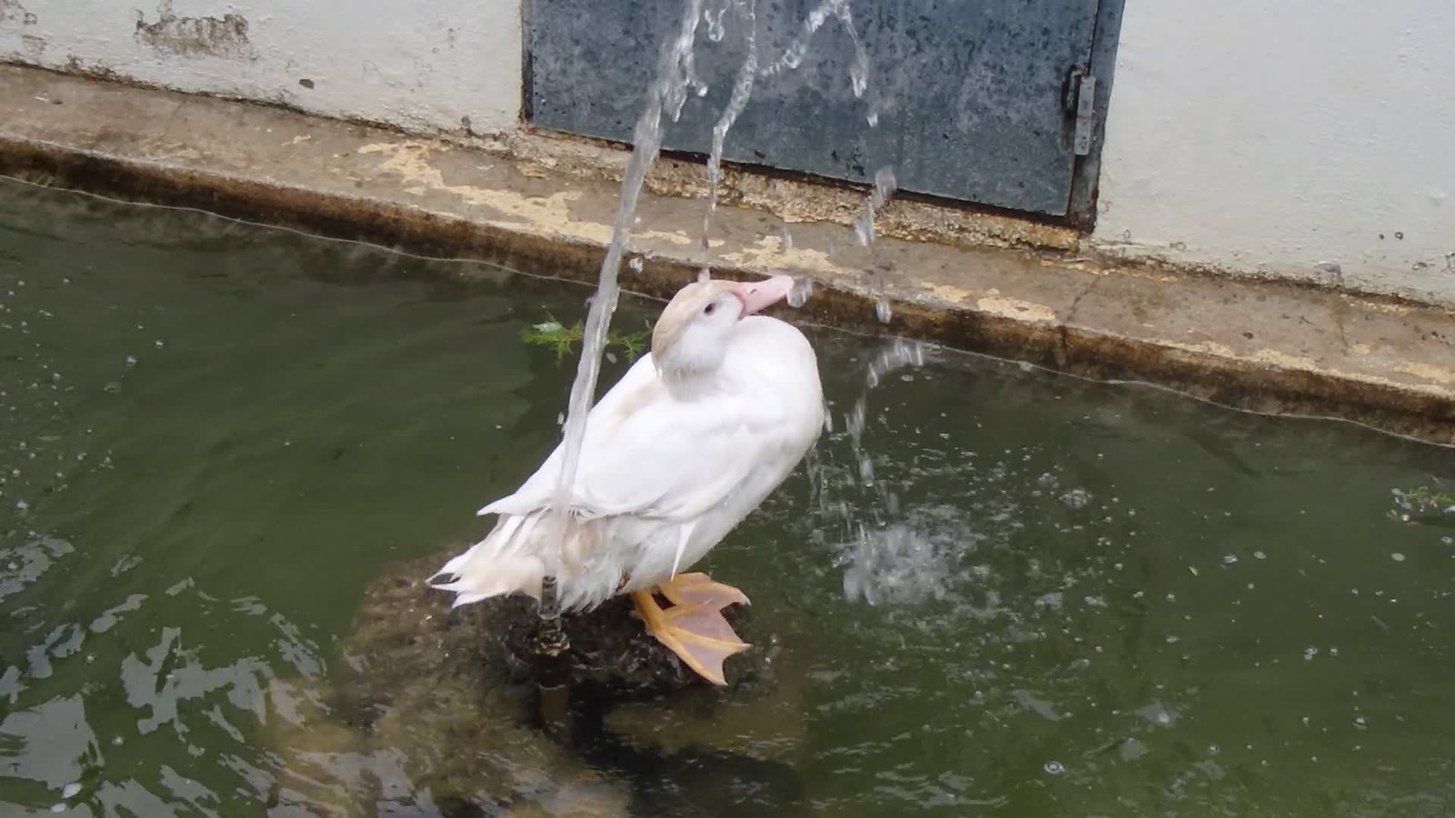 Ronda, Spain Movies Flickr