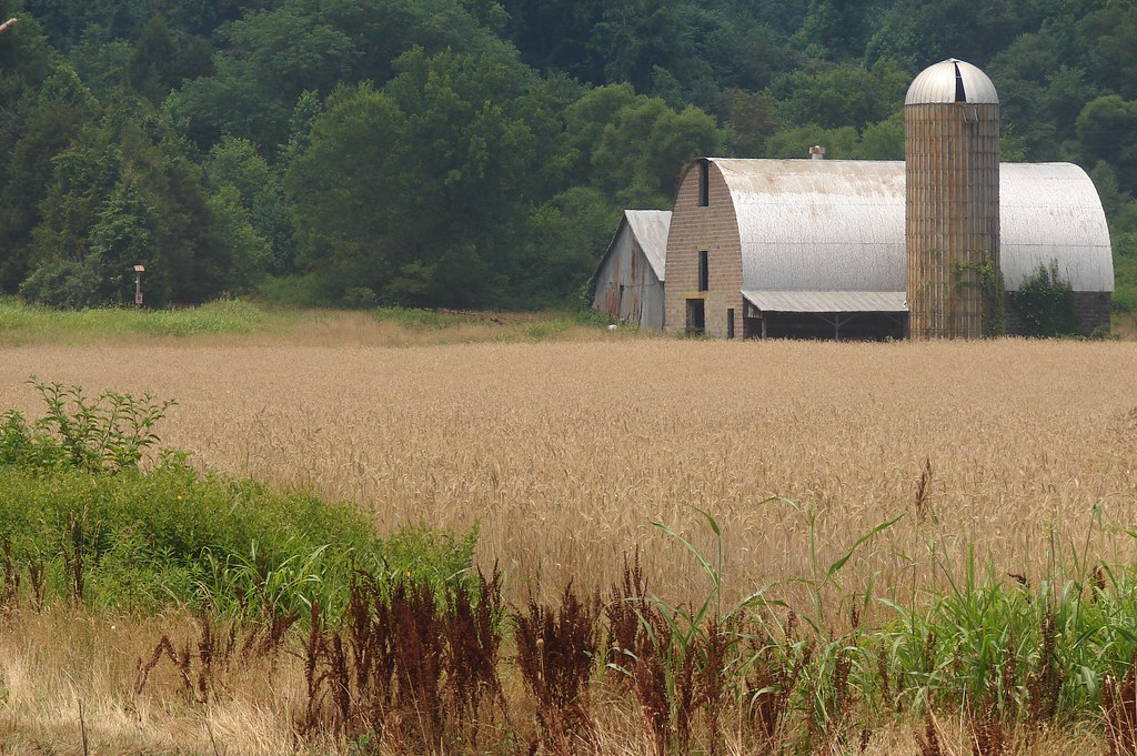 Tobacco barn area at Richard Garrett's farm where soldiers… Flickr