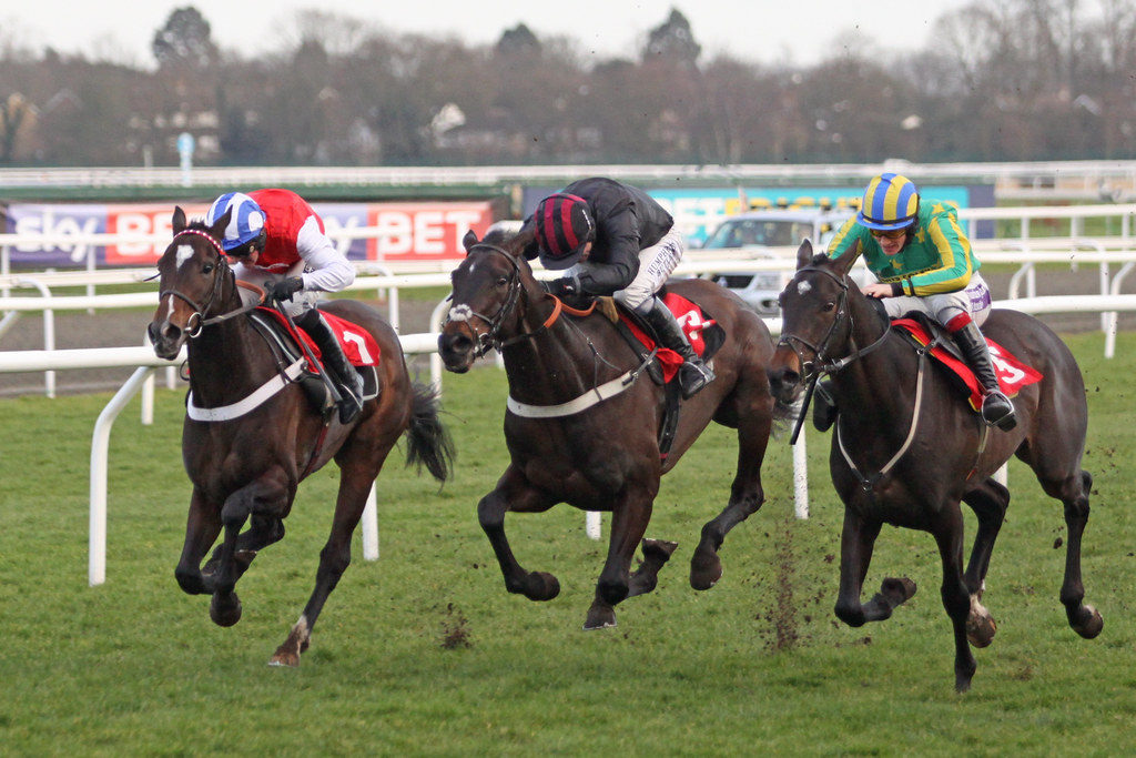 Bumper finish Kempton Park, 22 February 2014. National Hun… Flickr
