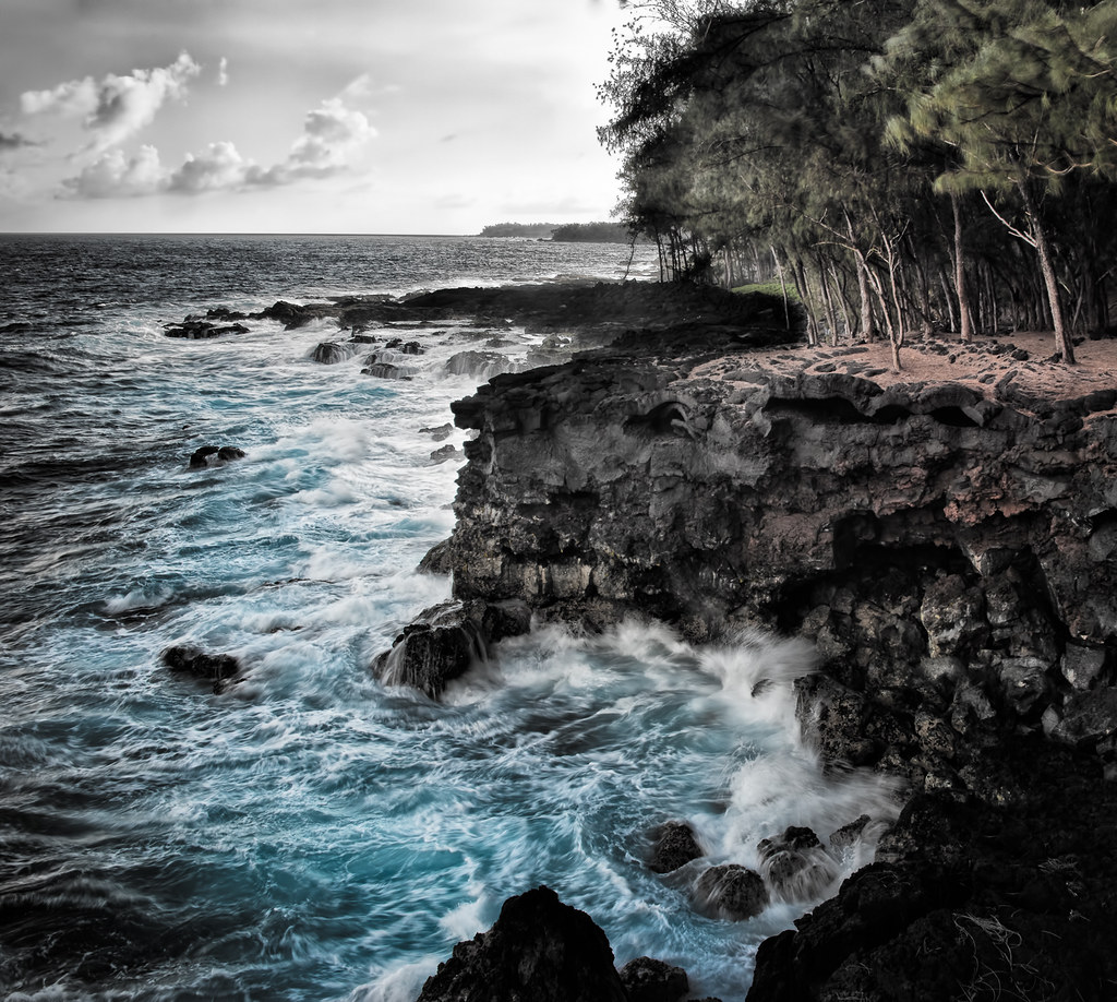 Ironwood Iron Will The Ironwood trees on the right have am… Flickr