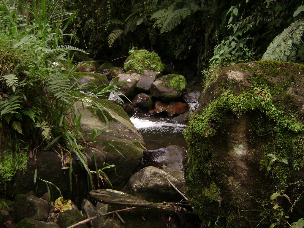 La Florida Pereira Colombia David García Patiño Flickr
