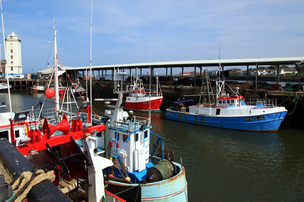 North Shields Fish Quay North Shields Fish Quay (Newcastle… Flickr