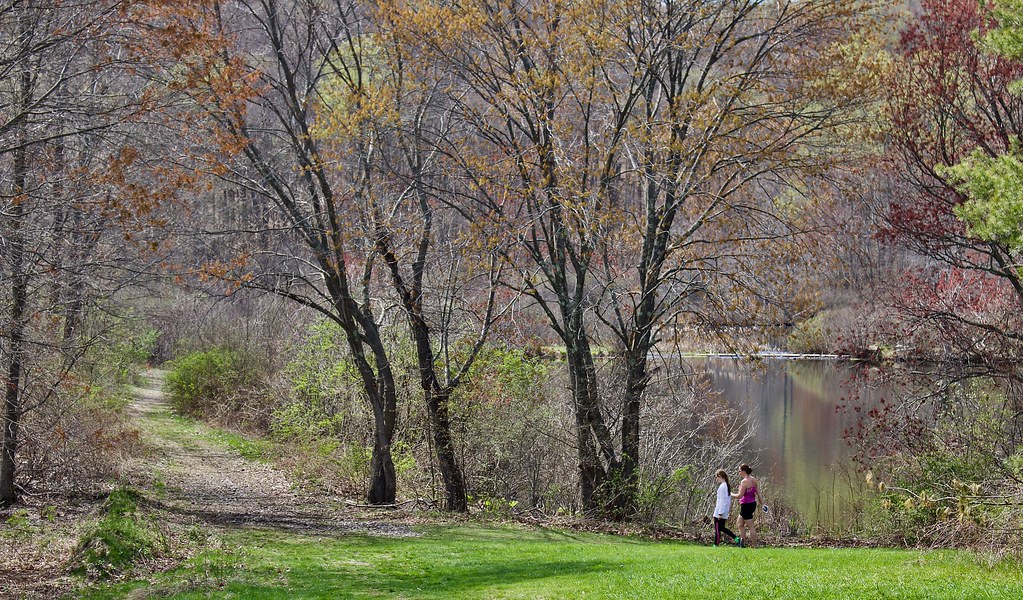 IMG_7503 Spring Walk at Mixville Park, Cheshire, Ct. Judy Juul Flickr