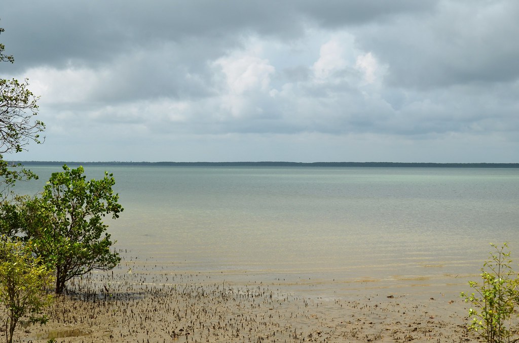 Papua New Guinea from Saibai Islands northern shore Flickr