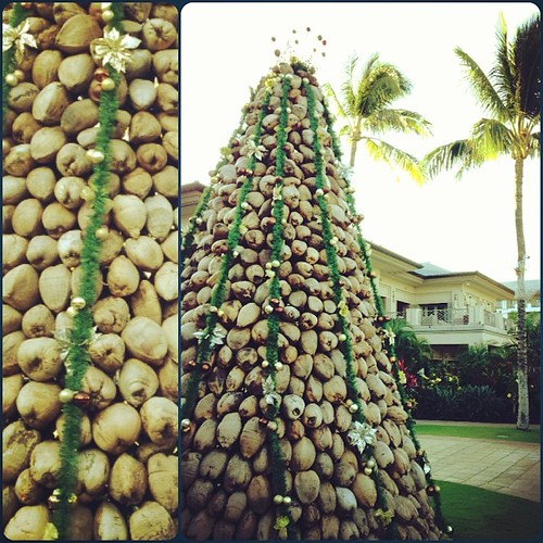 That coconutty Christmas tree... 900+ coconuts, 14' tall Flickr
