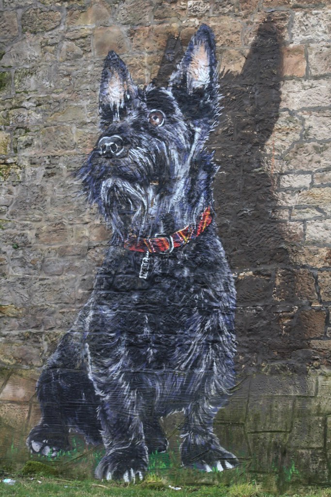 Scotty dog, Glasgow (Street Art) Mural located on Maryhill… Flickr
