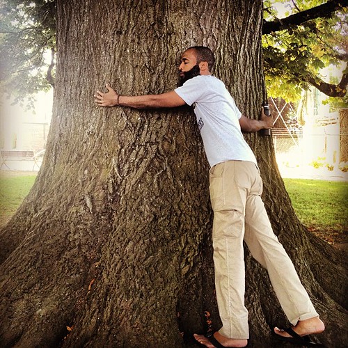 TreeaHug Patton Square Park (posted vi… Flickr