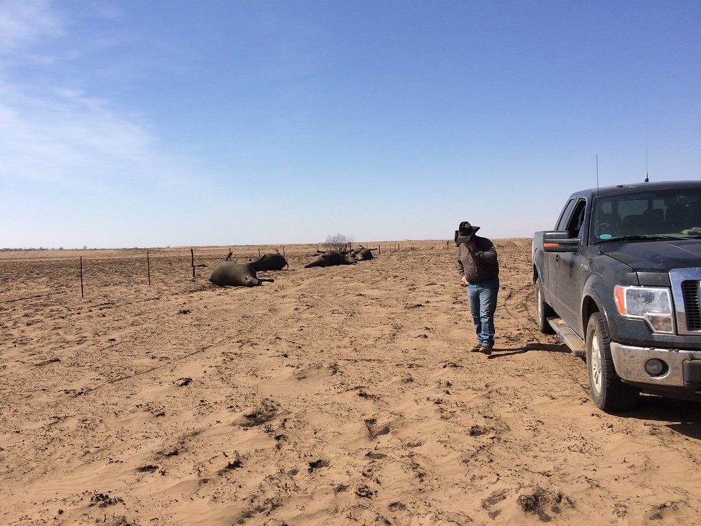 Starbuck Fire aftermath Greg Gardiner after Starbuck Wildf… Flickr