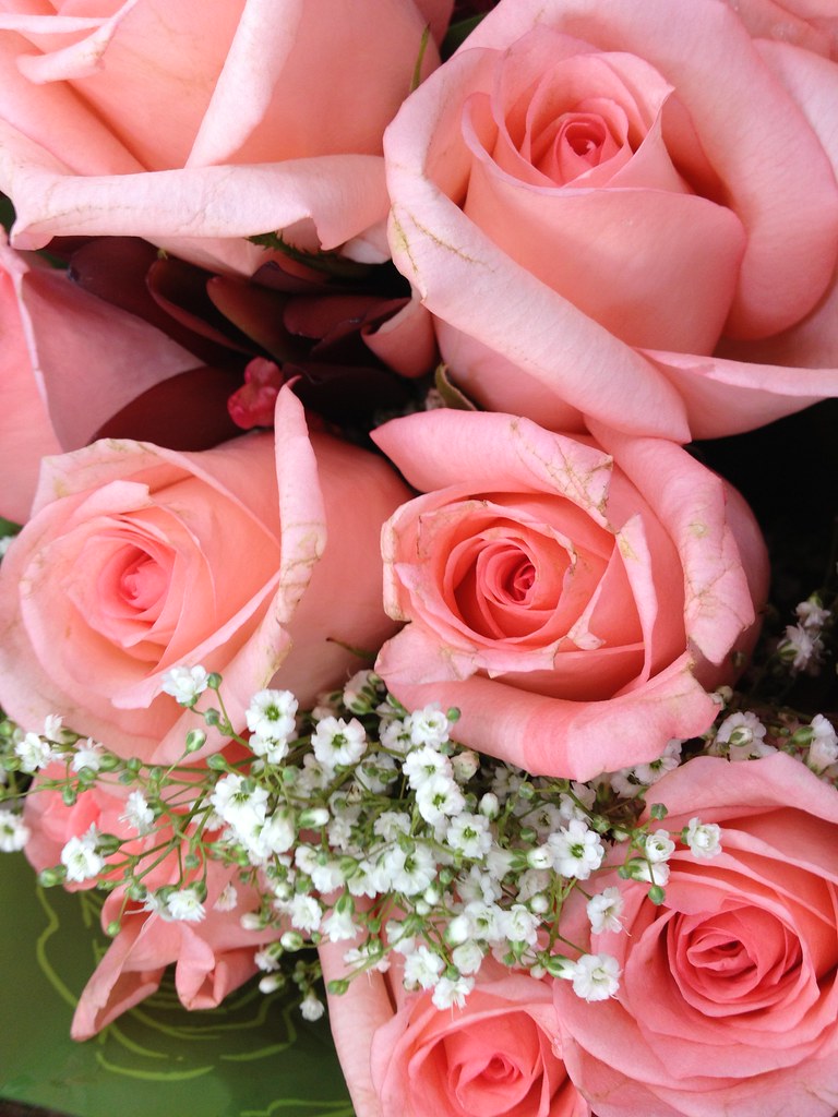 Flowers by Patty Vicknair Various Photos of Flowers taken … Flickr