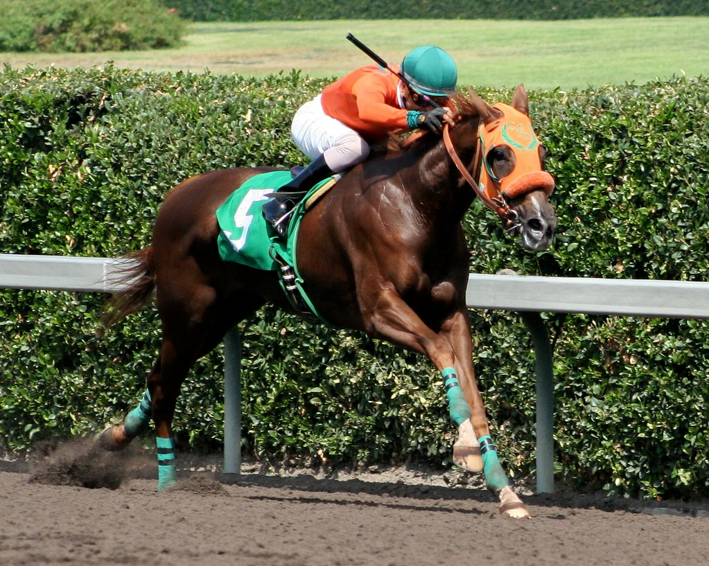 Big G Secret Crab Big G Secret Crab and Alonso Quinonez, F… Flickr