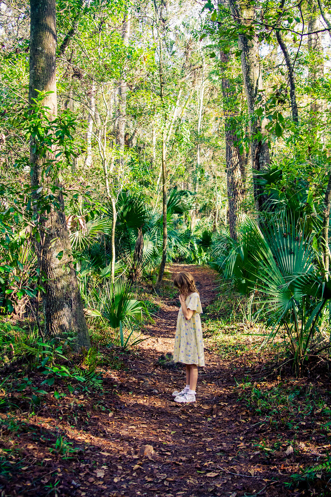 20131207IMG_4098 Hermione hiking at DeLeon Springs State … Flickr