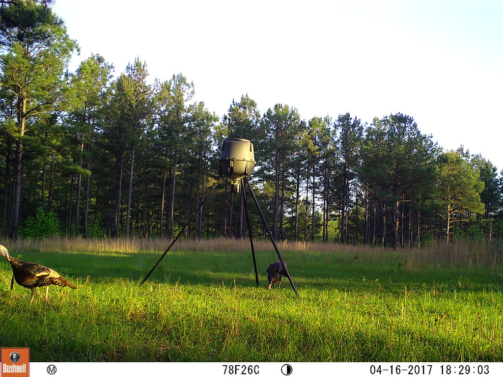 04160026 M2E62L184184R399B404 Harper Farms Flickr