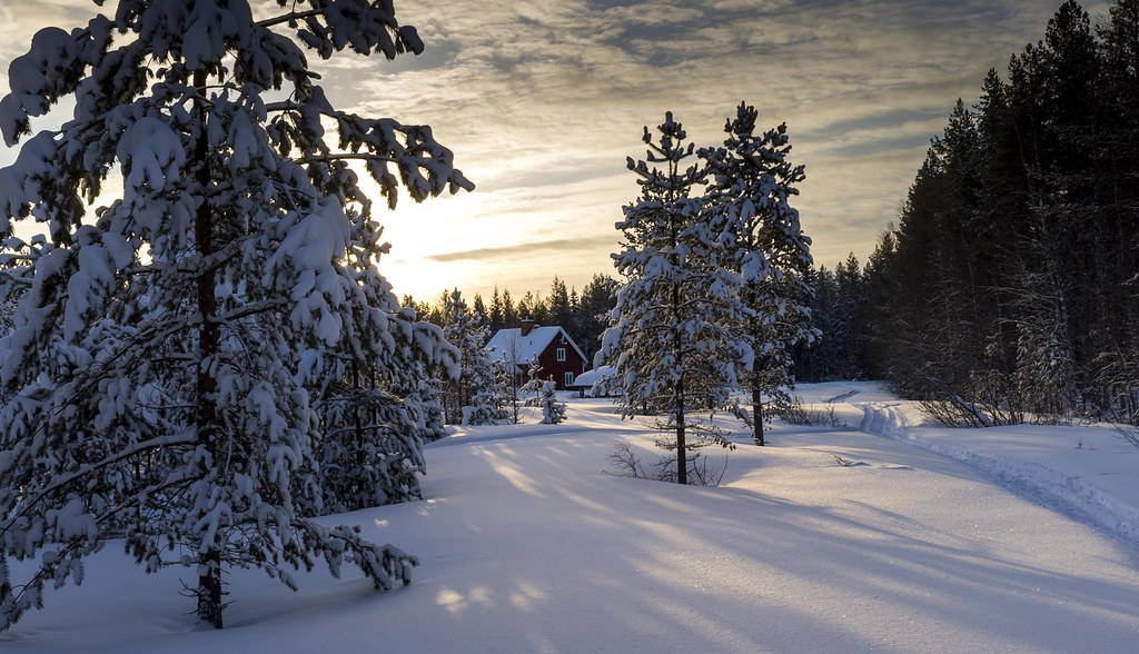 Osterjorn/South part of Swedish Lapland/House and wood wit… Flickr