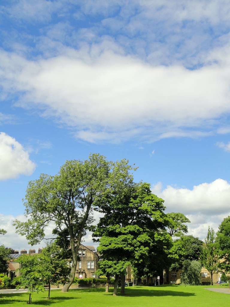 Trees and Clouds, Menston Park Menston, West Yorkshire. Flickr