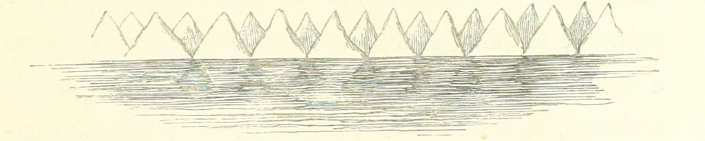 British Library digitised image from page 263 of "Letters … Flickr