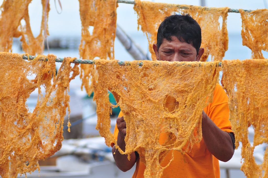 Telur Ikan Terbang indahyudhana Flickr