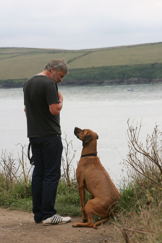 ANDY6299 Andy Thorpe Flickr