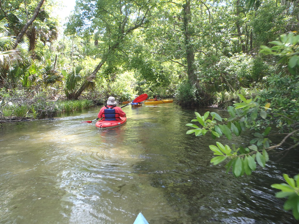 Troop 104 Juniper Springs kayak Trip Juniper Springs May 2… Flickr