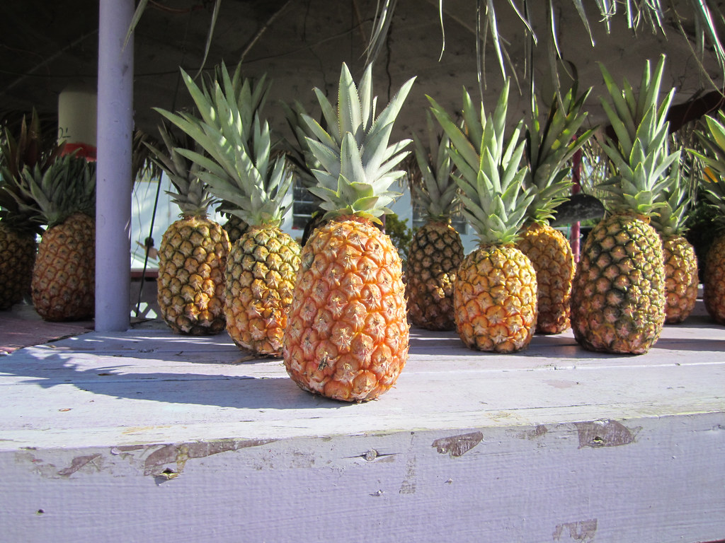 Pineapple Season! Ellen Bulger Flickr