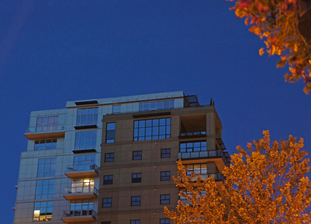 Condos in the Sky The Henry in Portland Oregon at dusk. dog97209