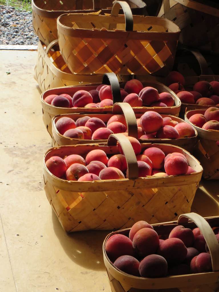 Peaches for sale Haven Acres Farm's GREAT fresh peaches Julia