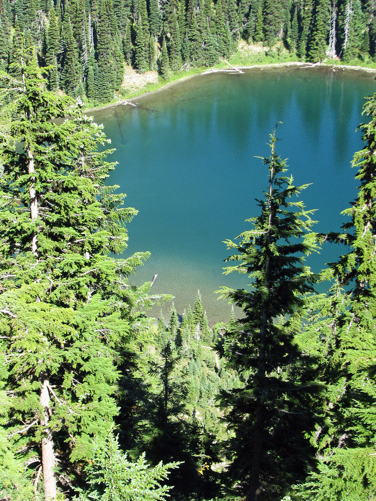 Alpine Lake Photo taken 8/31/13 Mt Rainier, Sunrise area Homini