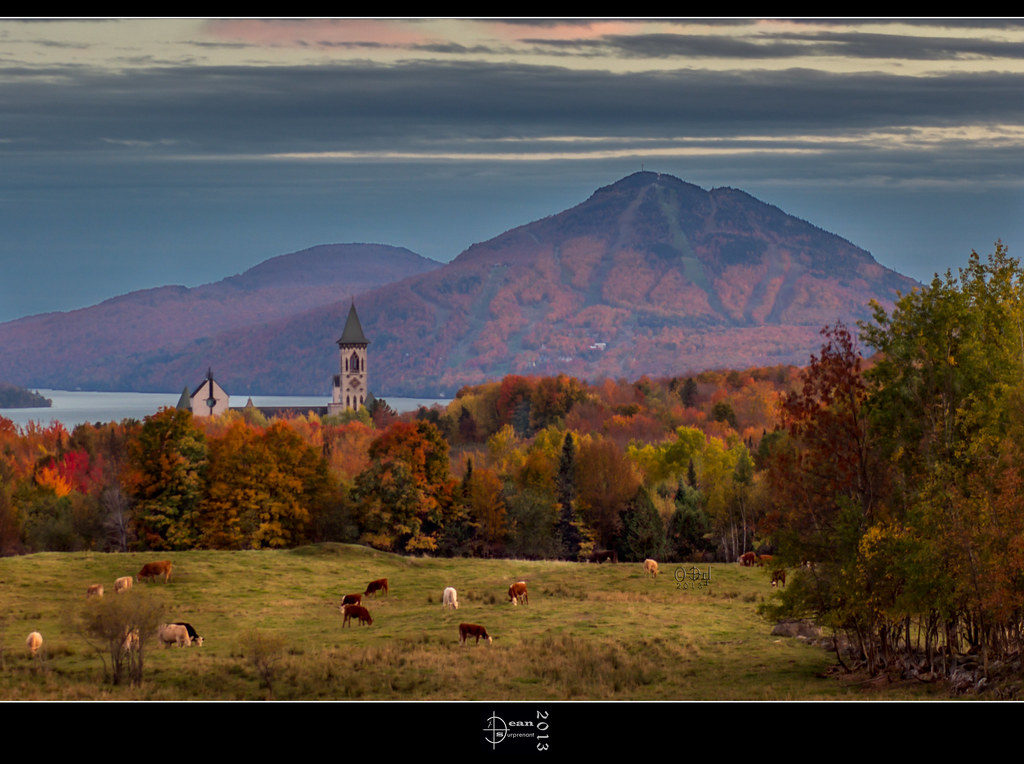 StBenoitsurleLac DRI . . WEBSITE.... www.jeansurp… Flickr