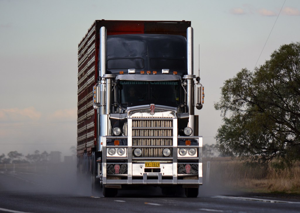 Lynch Livestock T909 Kenworth quarterdeck888 Flickr