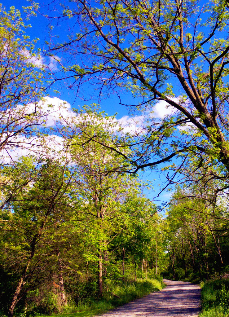 Looking onward Just a country road Eden "Kymele" Mabee Flickr